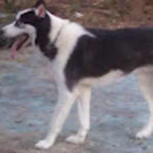 Meet your Posher, Wei